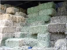 Lucerne Hay from Sun Valley Produce, Blue Mountains & Penrith.